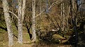 DSCN6646