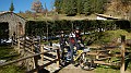 DSCN6653