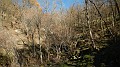 DSCN6657