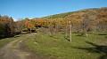 DSCN6663