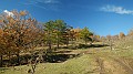DSCN6669
