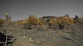 DSCN6670