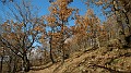 DSCN6671