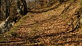 DSCN6672
