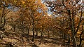 DSCN6674