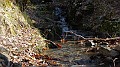 DSCN6675
