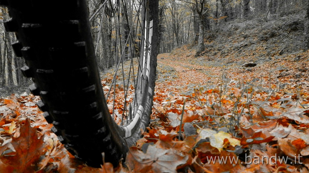 DSCN4164.JPG - Nebrodi - Exploring d'autunno