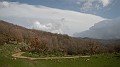 DSCN4483