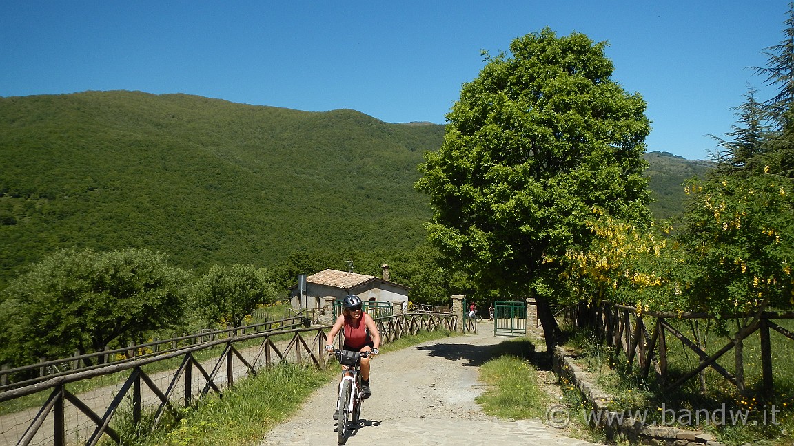 DSCN2785.JPG -                                