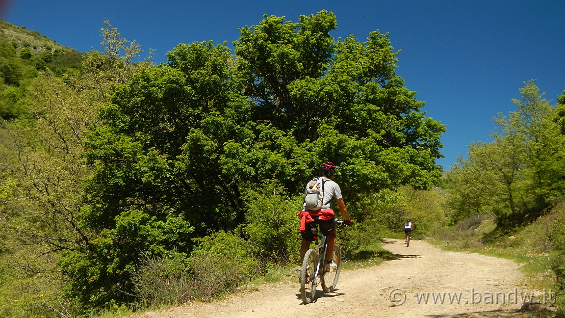 DSCN2828.JPG -                                