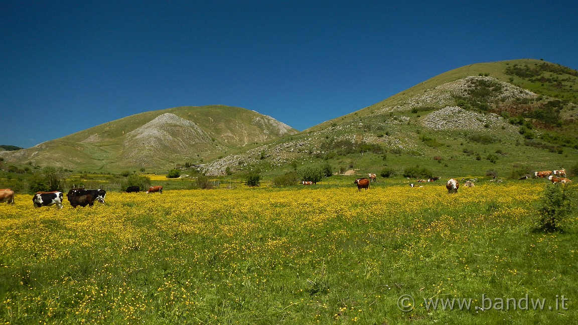 DSCN2834.JPG -                                