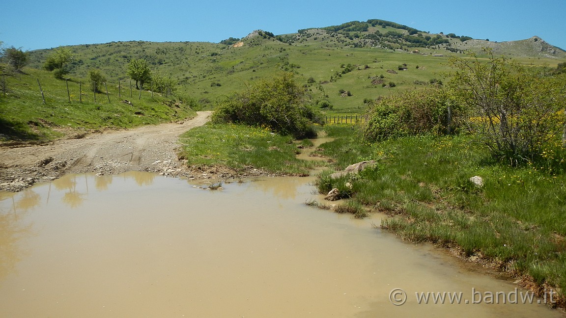 DSCN2836.JPG -                                