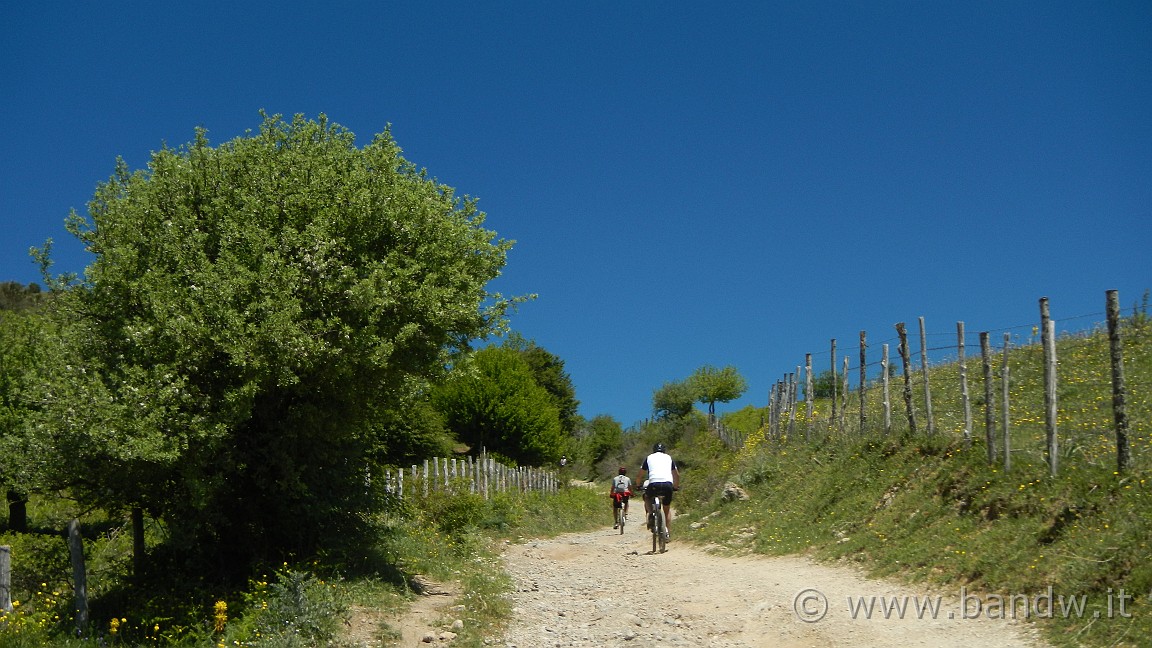 DSCN2838.JPG -                                