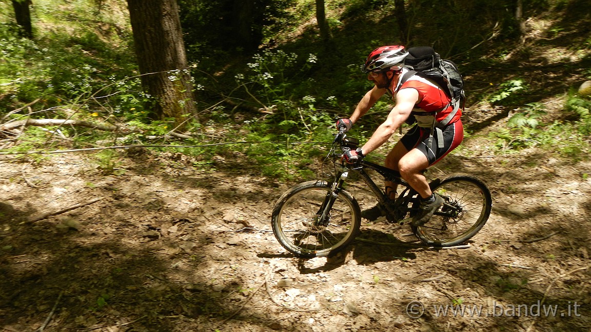 DSCN2848.JPG -                                