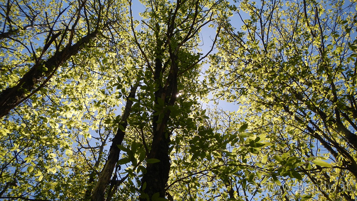 DSCN2853.JPG -                                