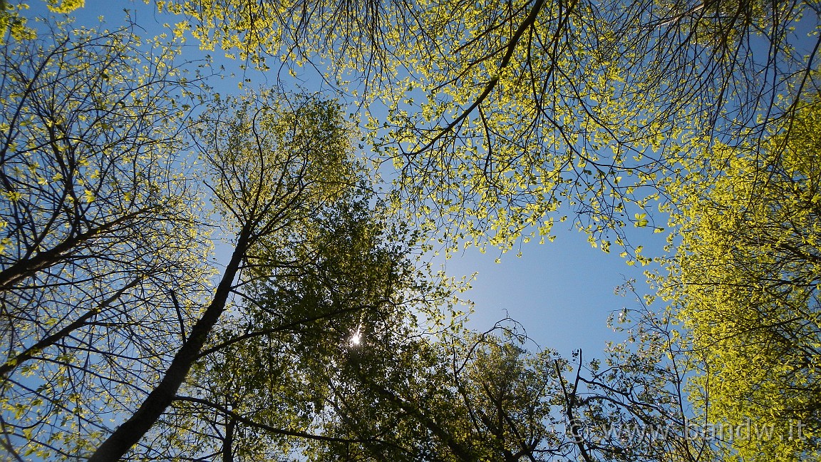 DSCN2857.JPG -                                