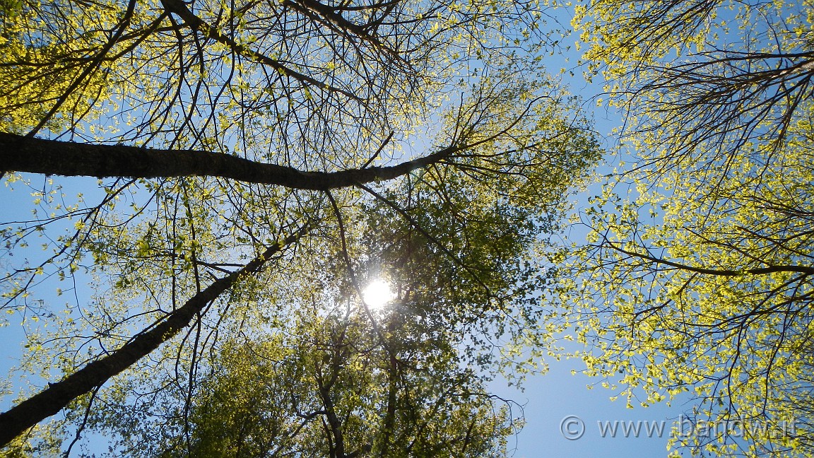DSCN2858.JPG -                                