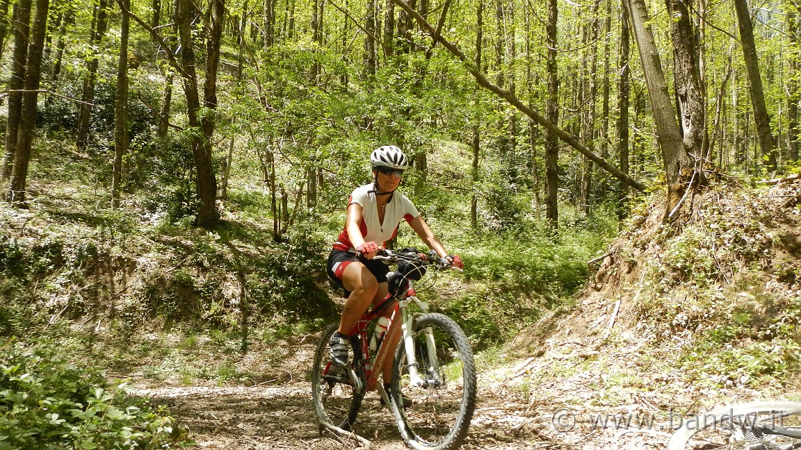 DSCN2859.JPG -                                