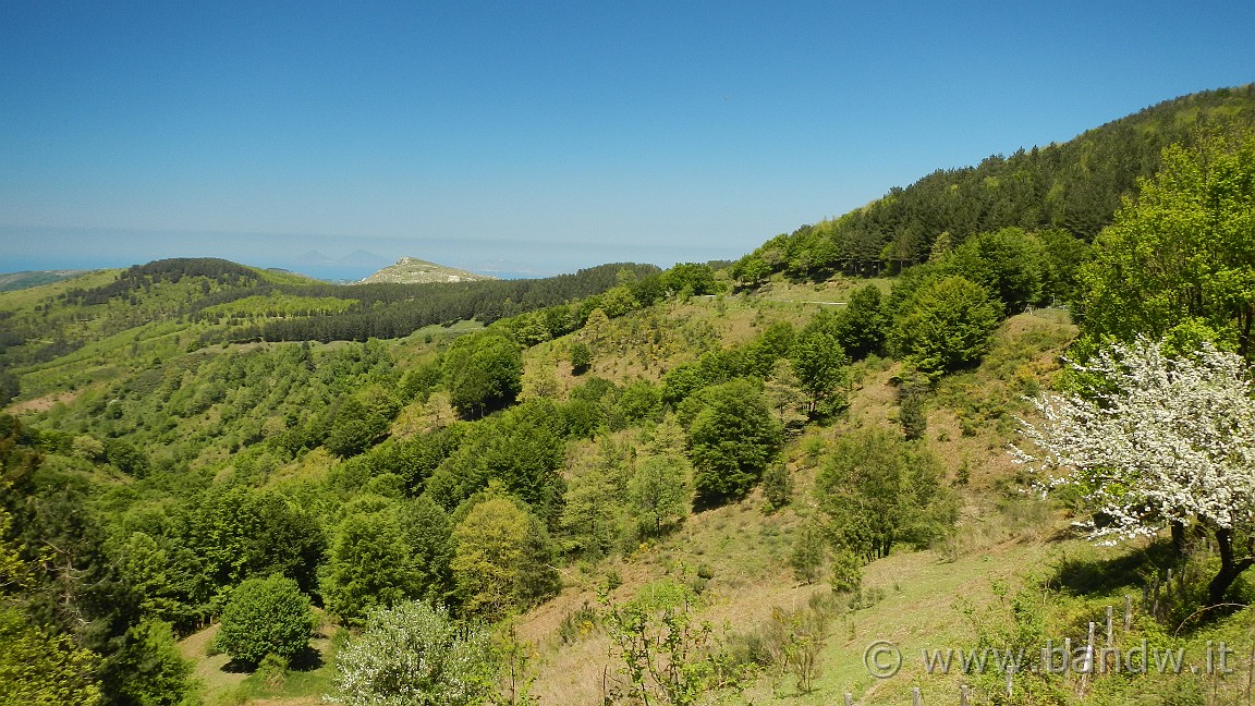 DSCN2868.JPG -                                