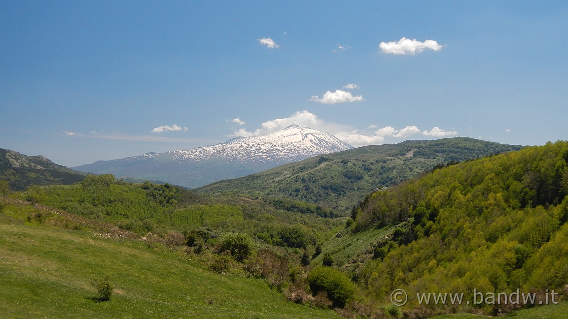 DSCN2869.JPG -                                