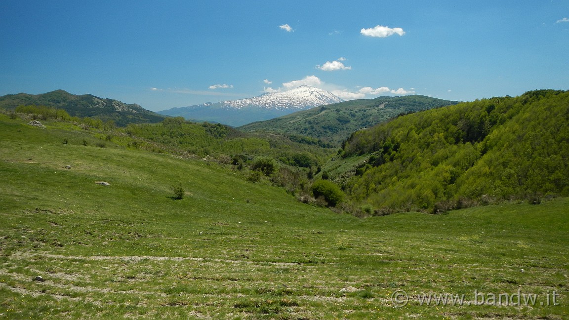 DSCN2870.JPG -                                
