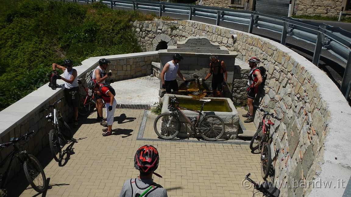 DSCN2879.JPG -                                