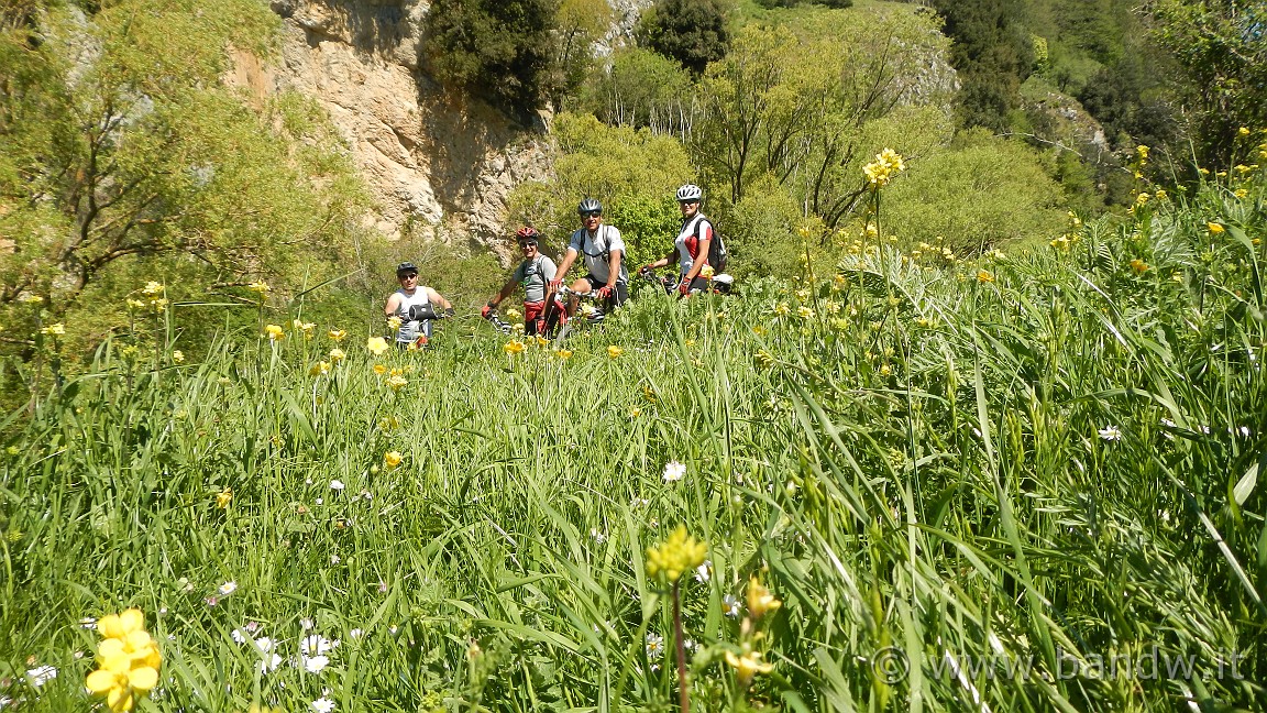 DSCN2886.JPG -                                