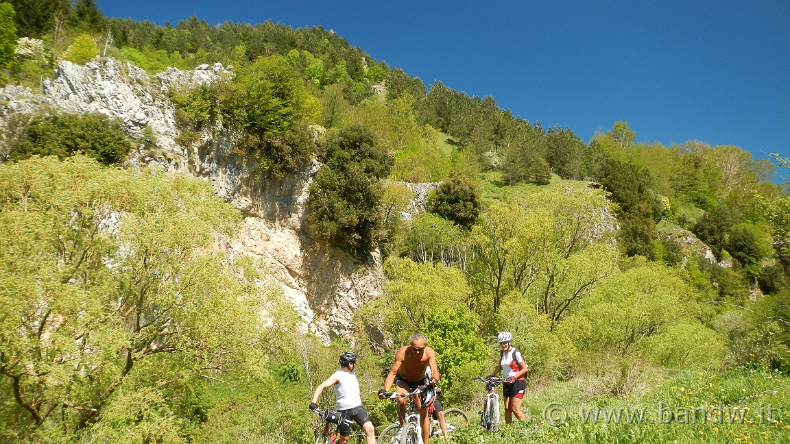 DSCN2889.JPG -                                
