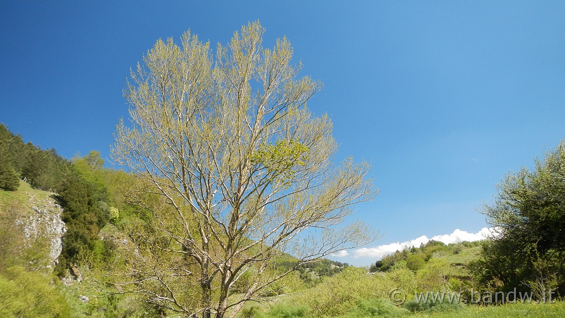 DSCN2890.JPG -                                