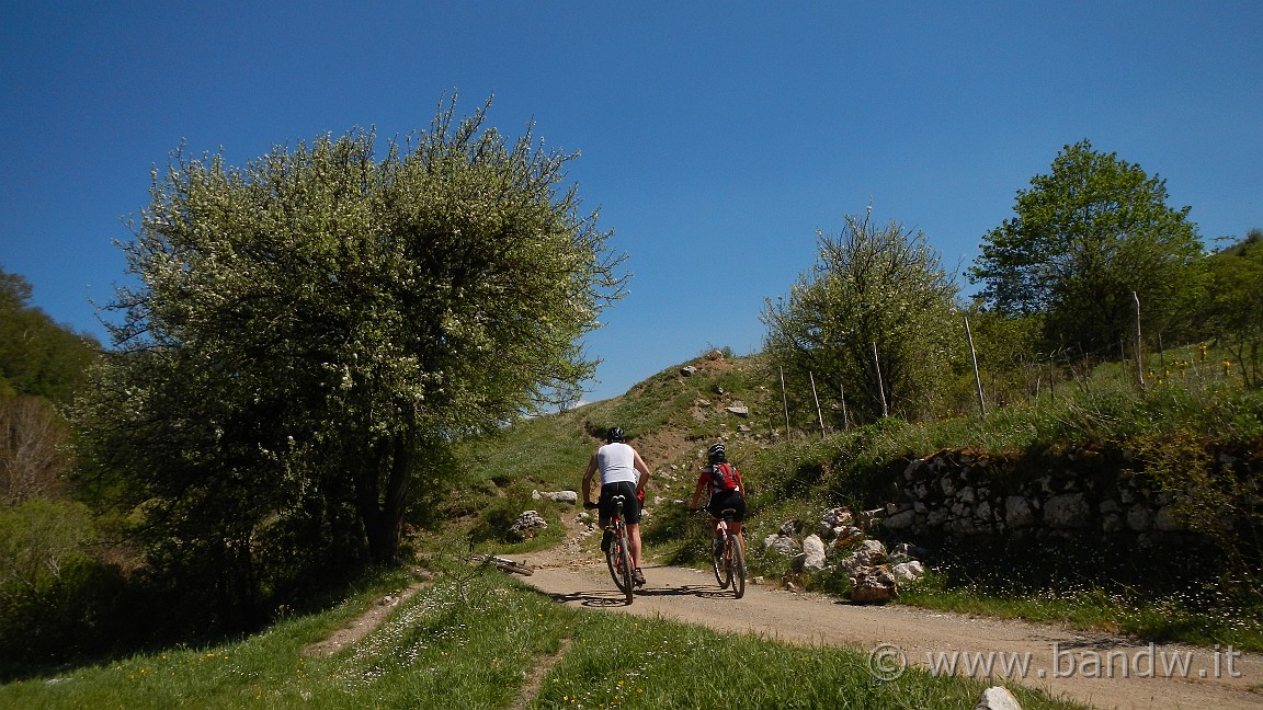 DSCN2891.JPG -                                