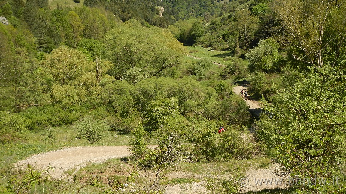 DSCN2897.JPG -                                