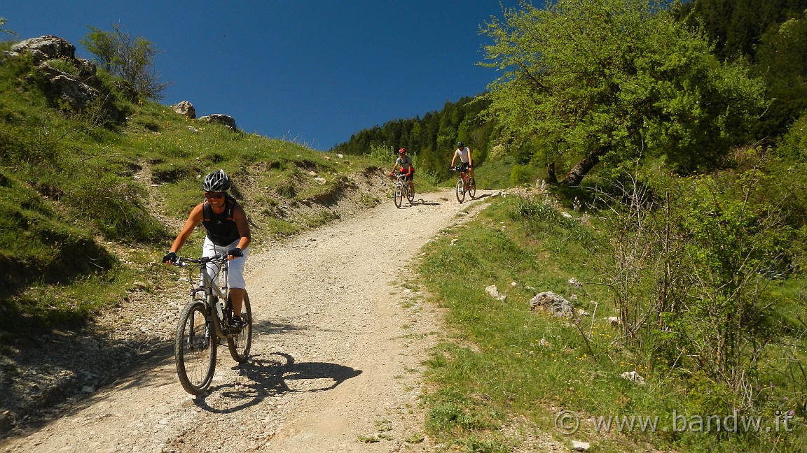 DSCN2898.JPG -                                