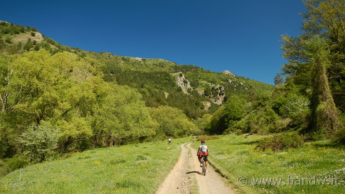 DSCN2901.JPG -                                
