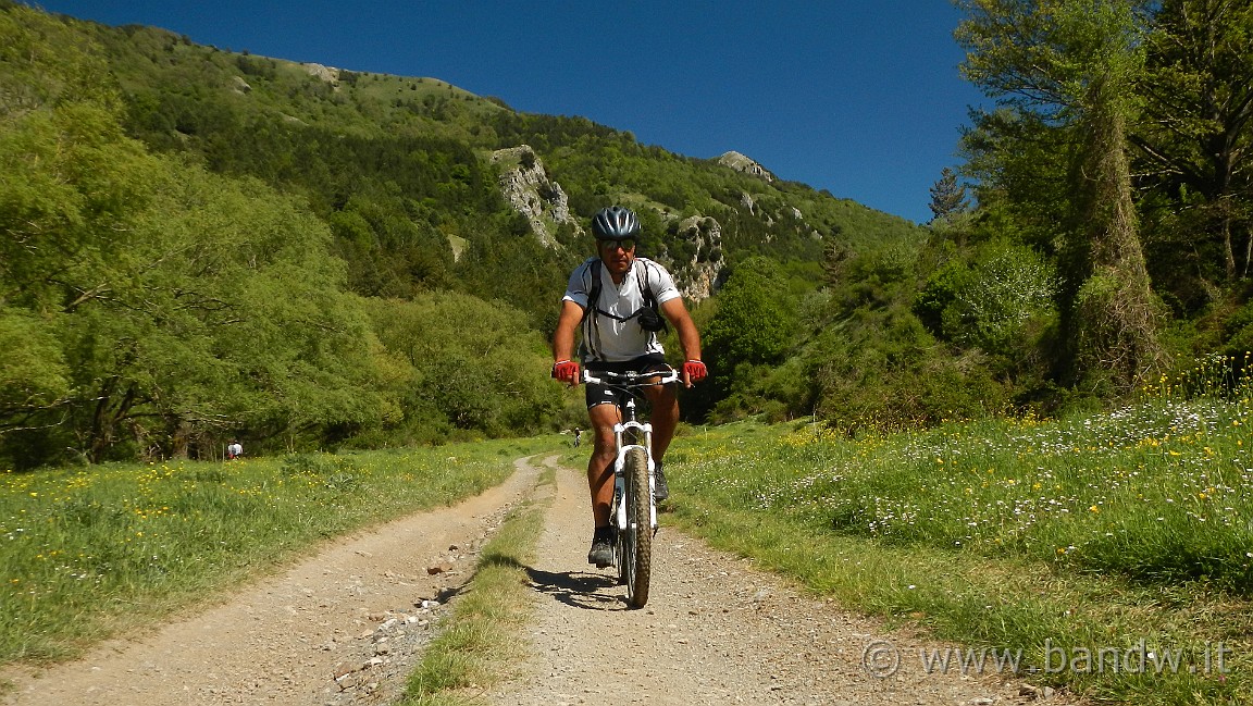 DSCN2904.JPG -                                