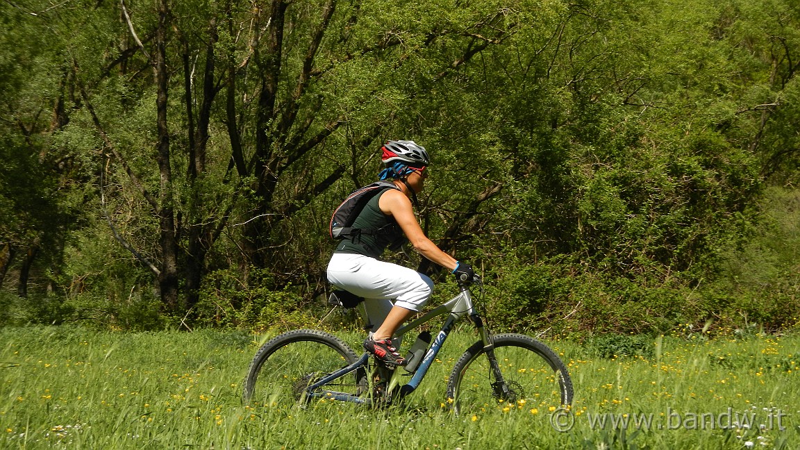 DSCN2910.JPG -                                