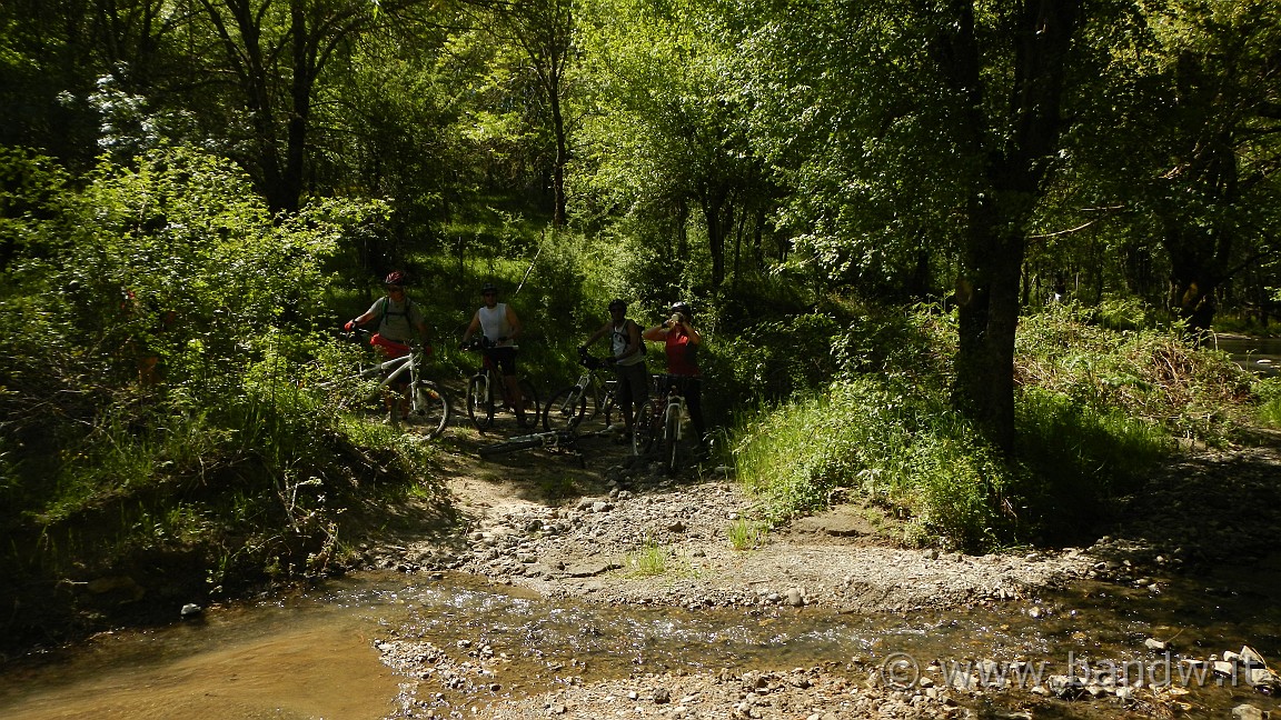 DSCN2912.JPG -                                