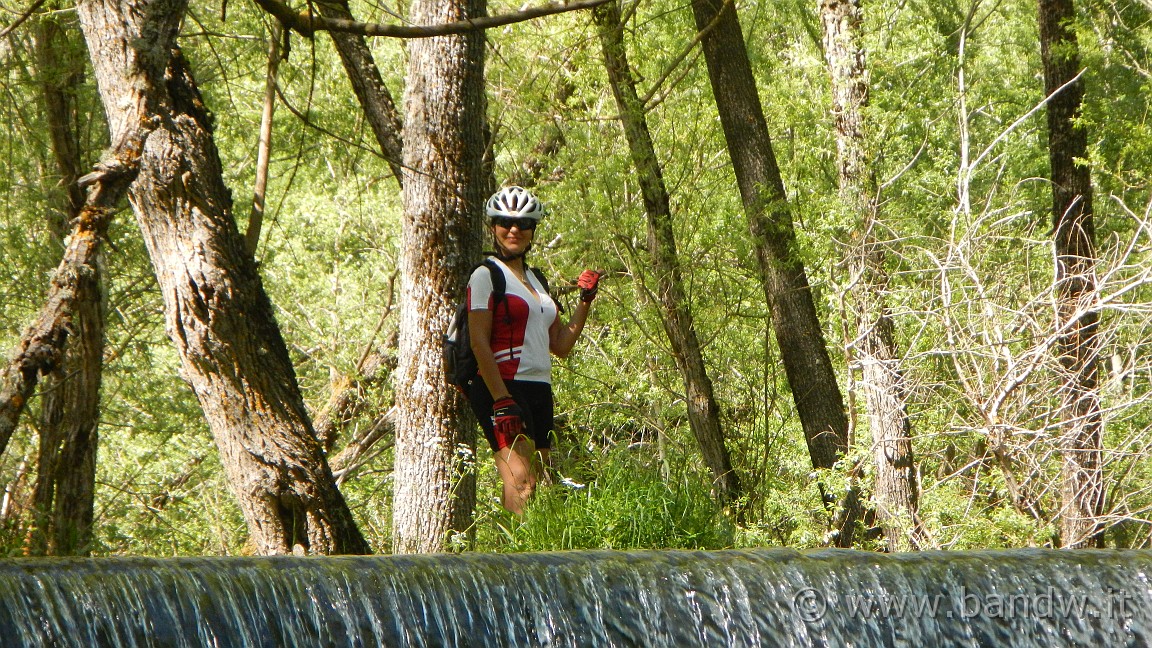 DSCN2914.JPG -                                