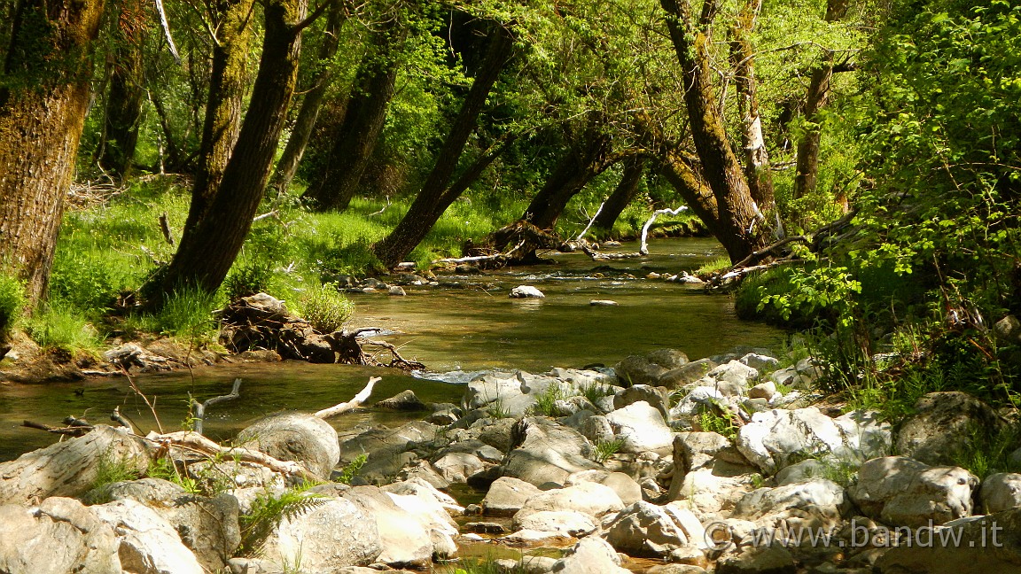 DSCN2918.JPG -                                