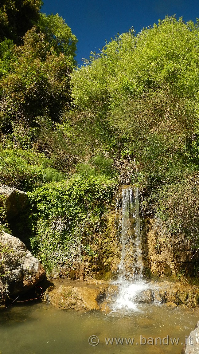 DSCN2941.jpg -                                