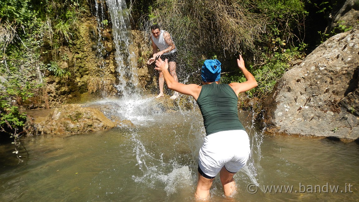 DSCN2942.JPG -                                