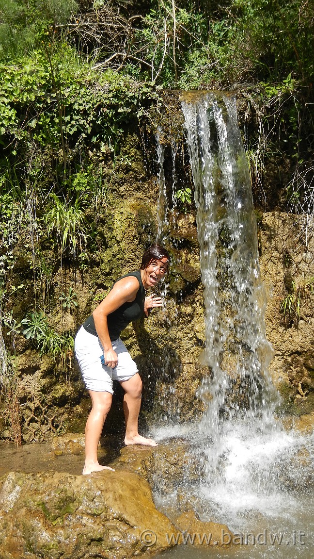 DSCN2945.jpg -                                