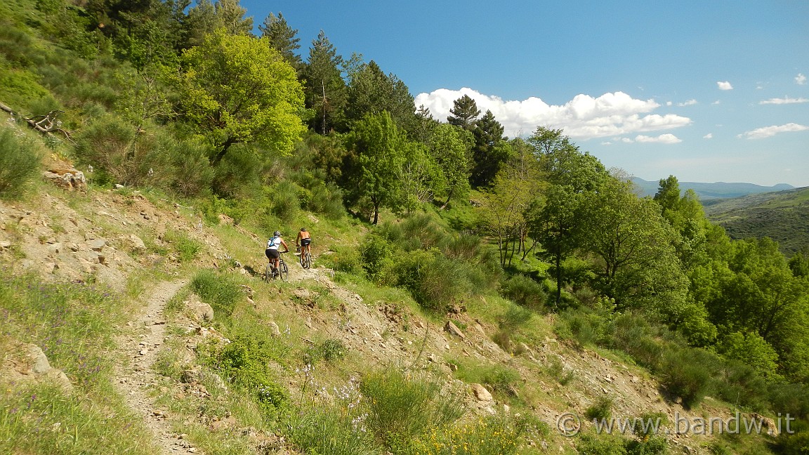 DSCN2951.JPG -                                