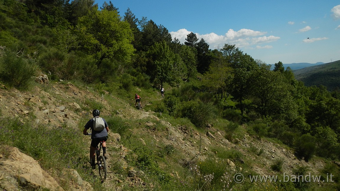 DSCN2954.JPG -                                