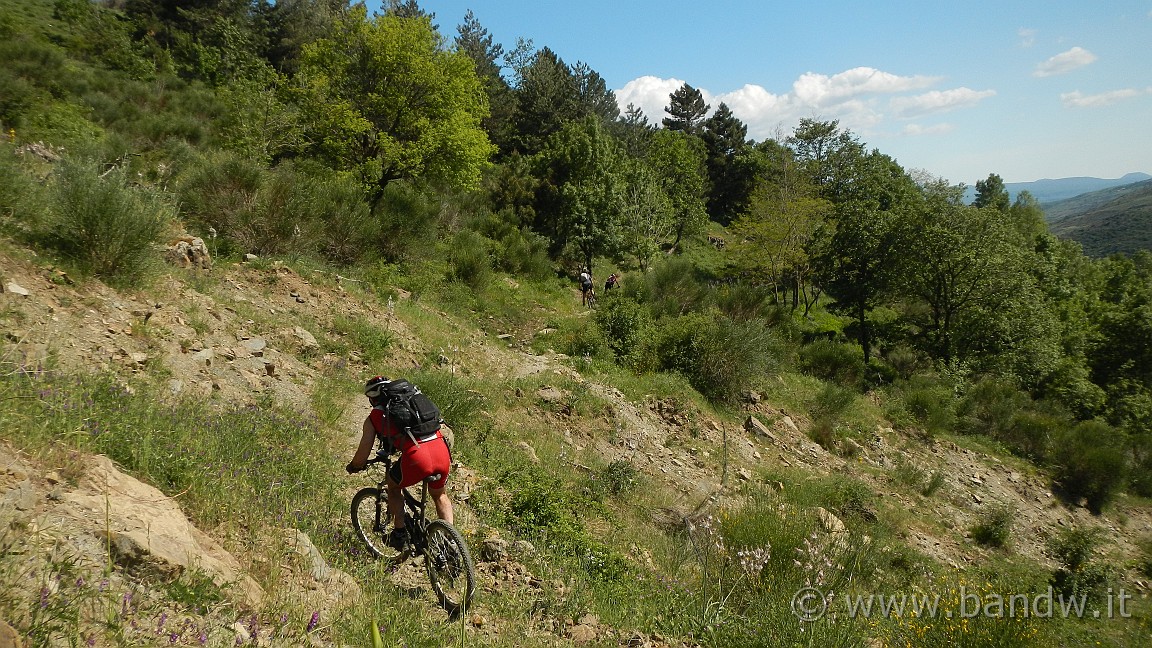 DSCN2955.JPG -                                