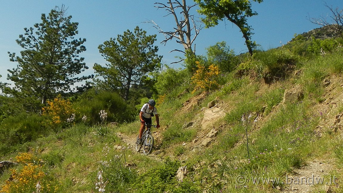 DSCN2957.JPG -                                