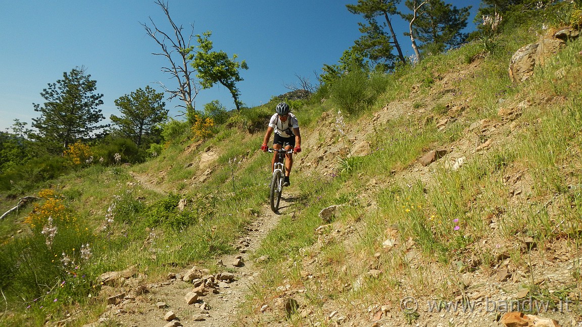 DSCN2959.JPG -                                