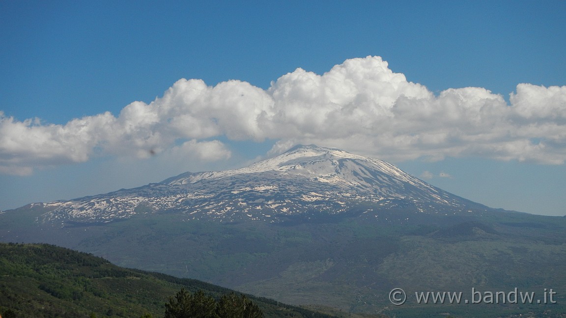 DSCN2961.JPG -                                