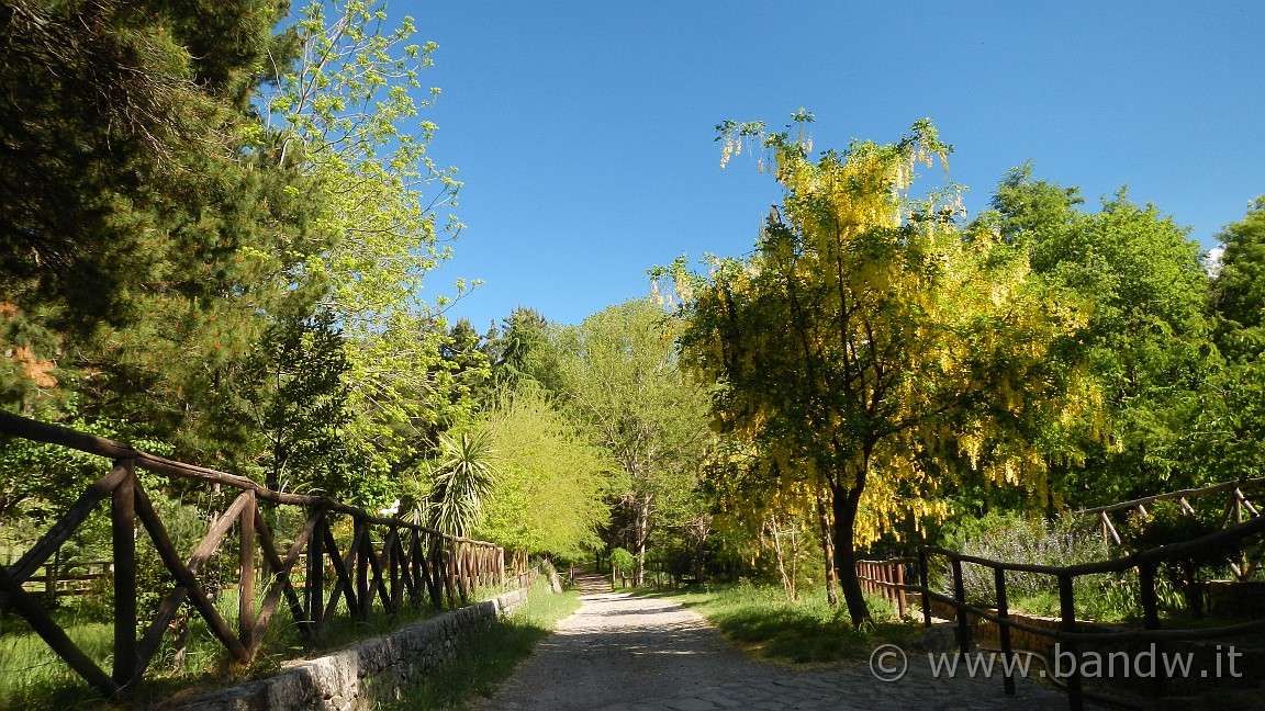 DSCN2967.JPG -                                