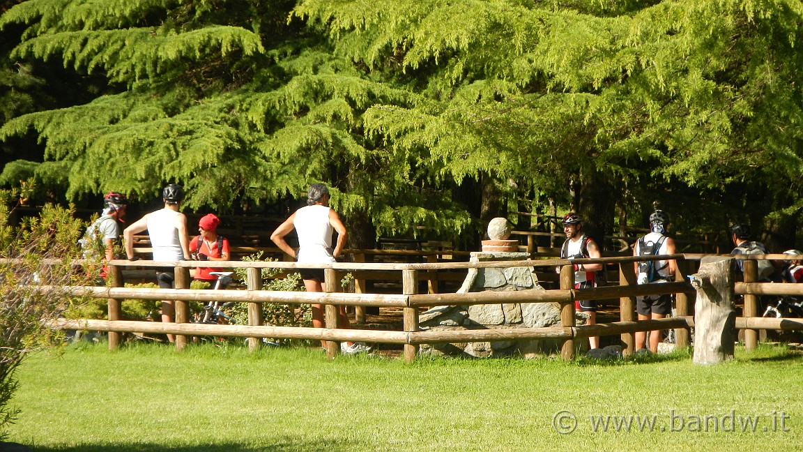 DSCN2972.JPG -                                