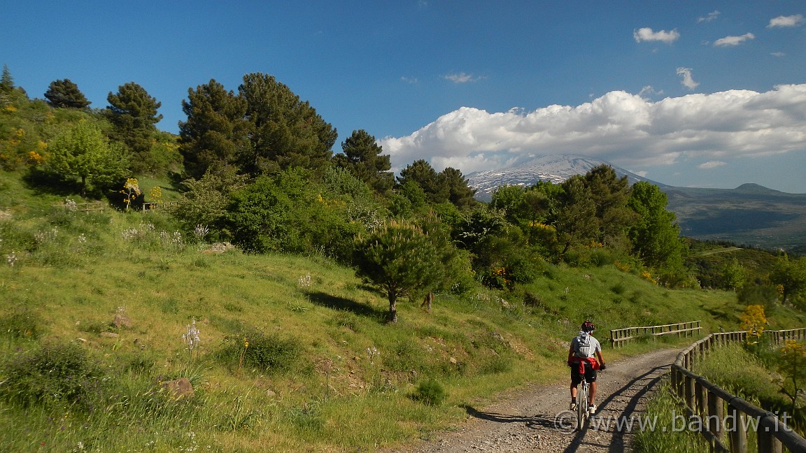 DSCN2976.JPG -                                
